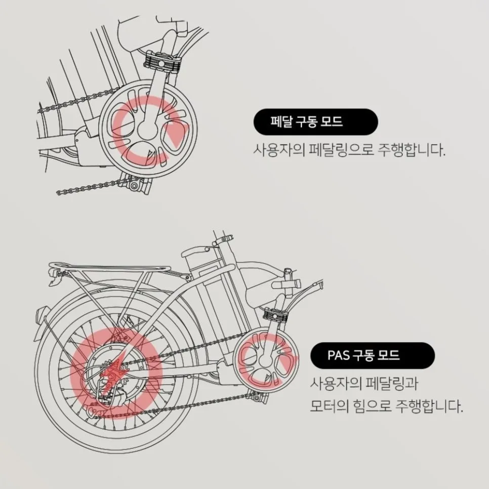 PAS 전기자전거 2026년 추천: 레이윙 디스커버리 F20E 장단점 총정리 2