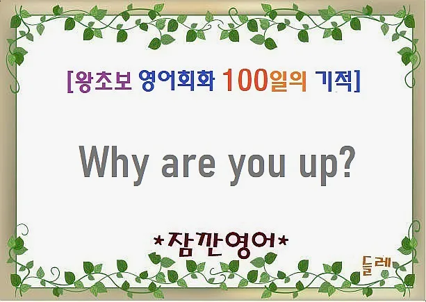 Why Are You Up? 2026년 밤샘 이유 묻는 영어 표현 완벽 정리