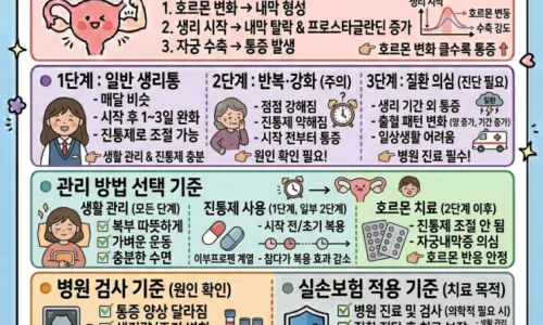 생리과다출혈 vs 부정출혈 차이점 2026: 원인, 질환 신호, 보험까지 총정리 2