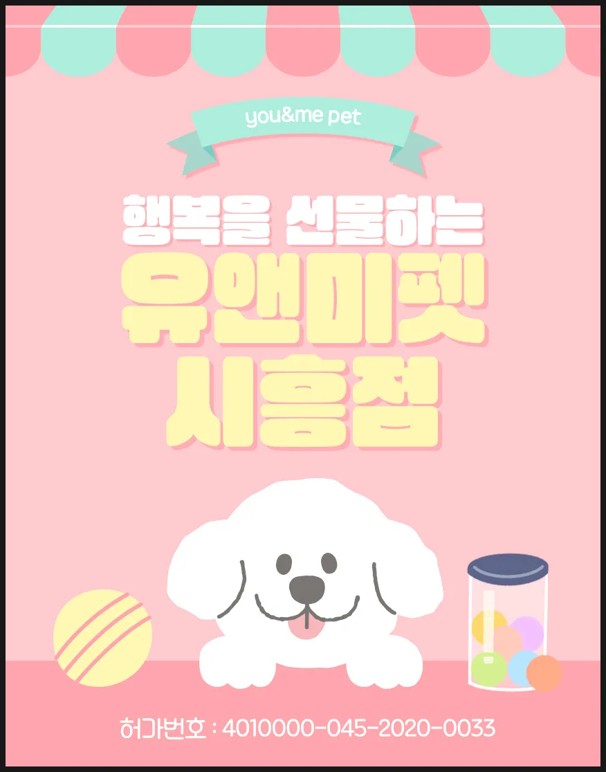 의정부 말티즈 분양 2026: 유앤미펫 후기 및 입양 가이드