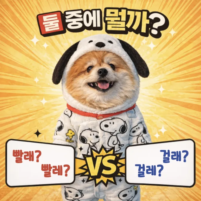 빨래와 걸레, 2026년에도 헷갈린다면? 올바른 맞춤법 정리 — 어학·외국어 — designalbranding