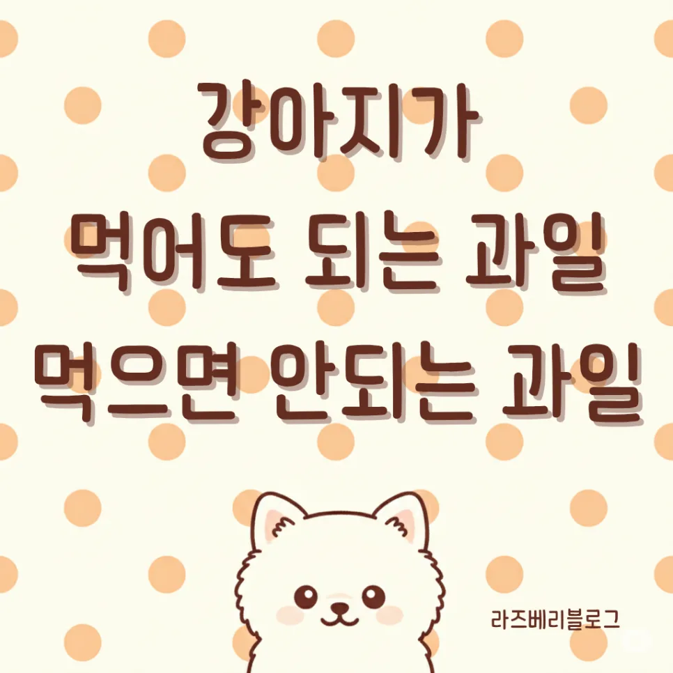2026년 반려견 과일 급여 가이드: 안전한 과일 vs 위험한 과일 총정리