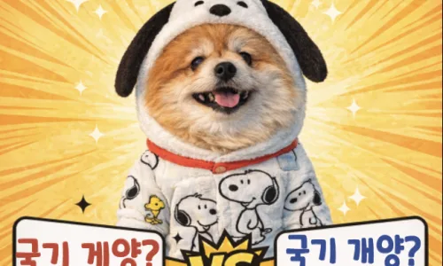 메치다 vs 매치다, 메우다 vs 매우다: 2026년 올바른 맞춤법 완벽 정리 2
