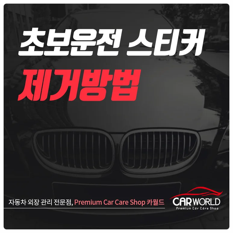 초보운전 스티커 제거 2026: 뜨거운 물·선크림 활용법 총정리 — 자동차 — cwsbj007