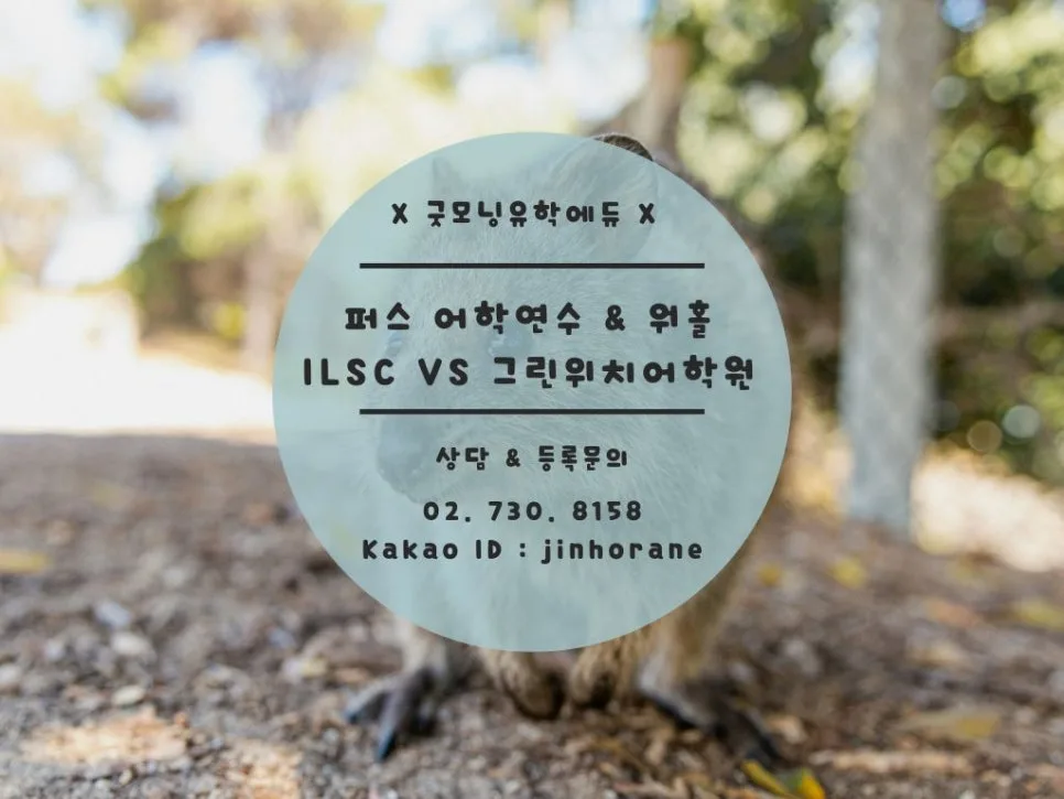 호주 퍼스 어학연수 2026: ILSC vs 그린위치, 최적의 선택은? 3