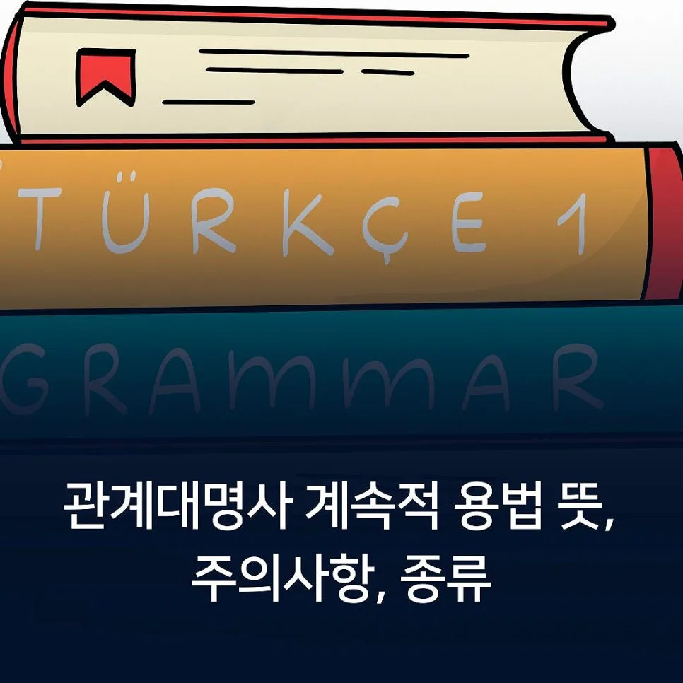 관계대명사 계속적 용법 완벽 정리 (2026년 최신 문법)