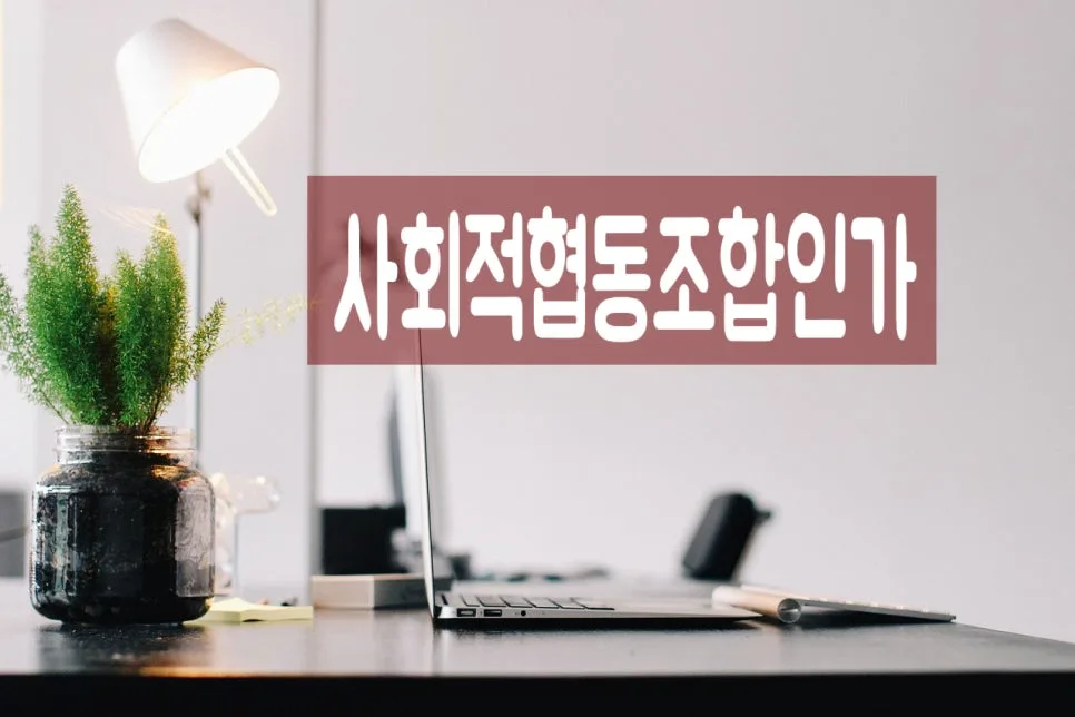 사회적협동조합 설립인가 절차 완벽 분석 2026 — 비즈니스·경제 — 0413kgs