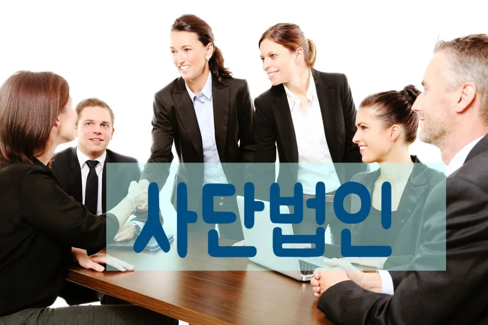 비영리사단법인 설립 절차 완벽 가이드 2026 2