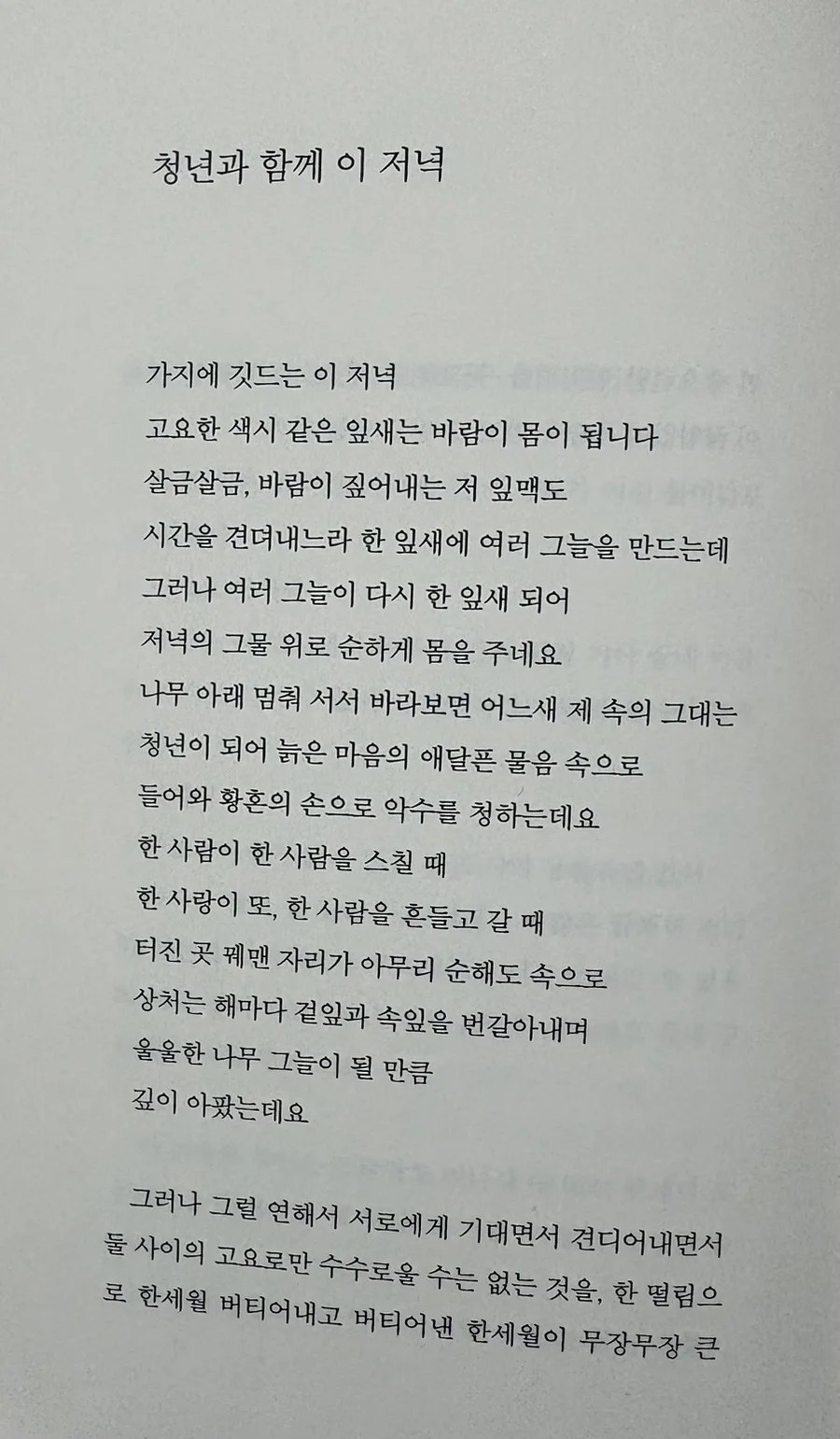 허수경 시 '청년과 함께 이 저녁' 분석: 늙음과 상처, 희망의 메시지 2026 3