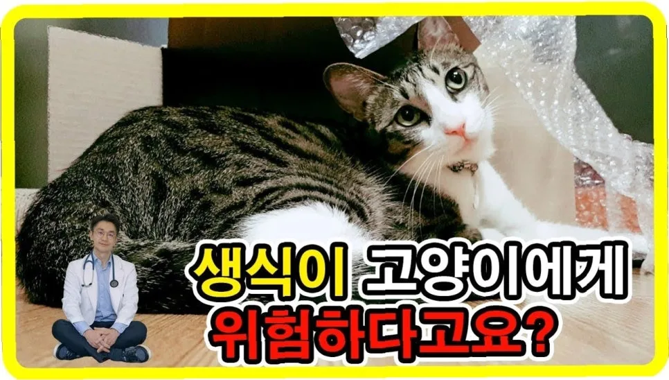 생음식 위험 2026: 의사들이 피하는 음식과 안전 섭취법 3