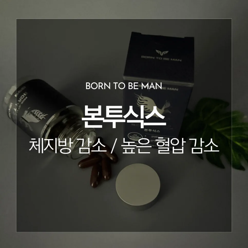 본투식스 다이어트, 술배·혈압 고민 남성 위한 솔루션 2026 — 건강·의학 — catharsis486