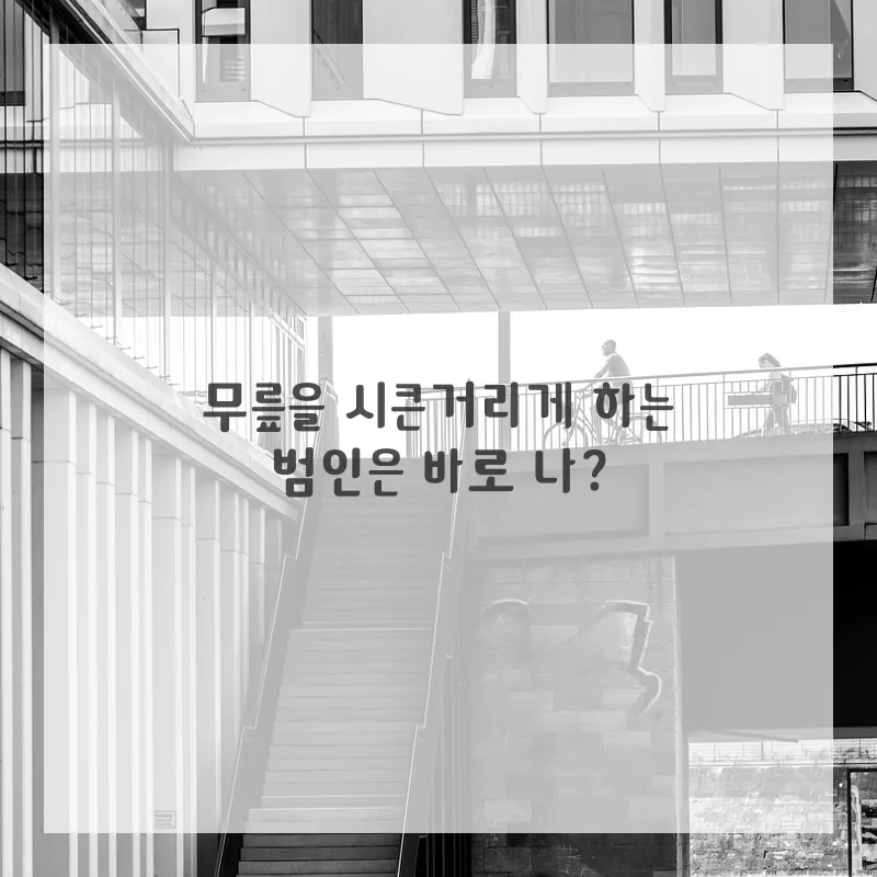 잘못된 걷기 자세, 허리·무릎 통증 유발 원인 2026년 총정리 2
