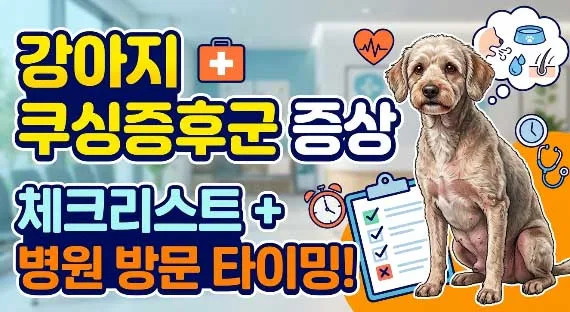 강아지 쿠싱 증후군, 2026년 집에서 확인하는 7가지 증상과 병원행 기준