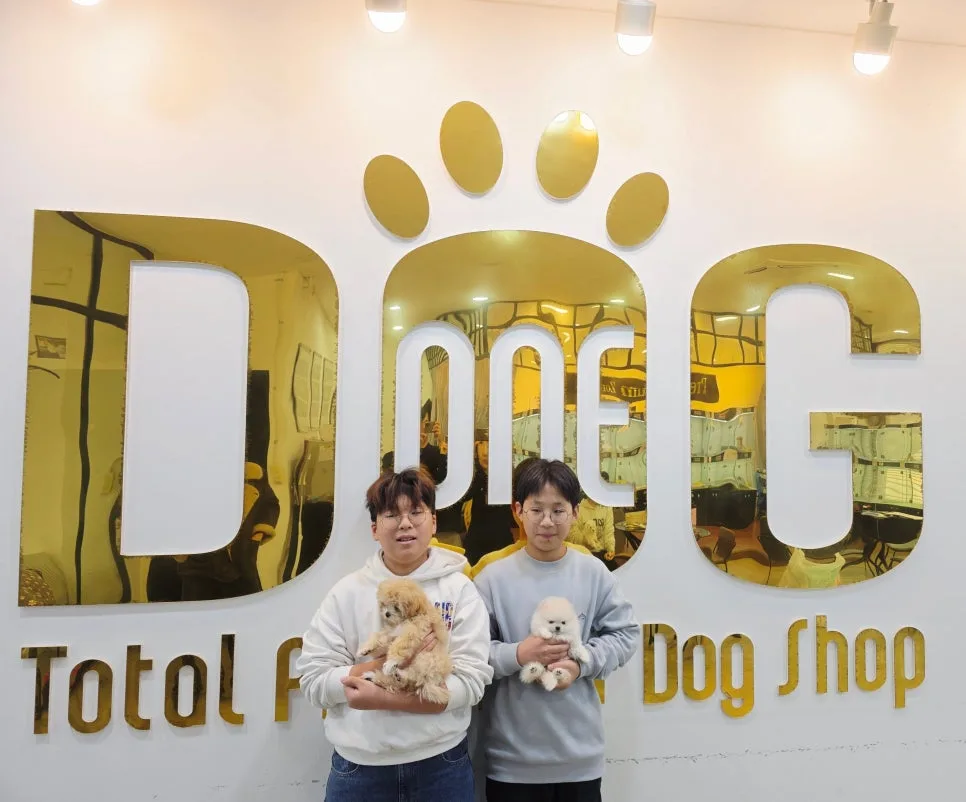 세종 강아지 분양: 쌍둥이 형제의 크리스마스 소망 이루어진 날 2026 2