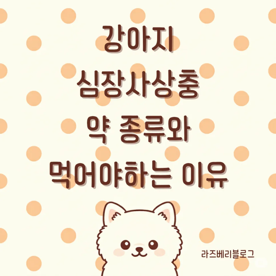 강아지 심장사상충 예방, 1년 내내 필요한 이유와 약 종류 2026