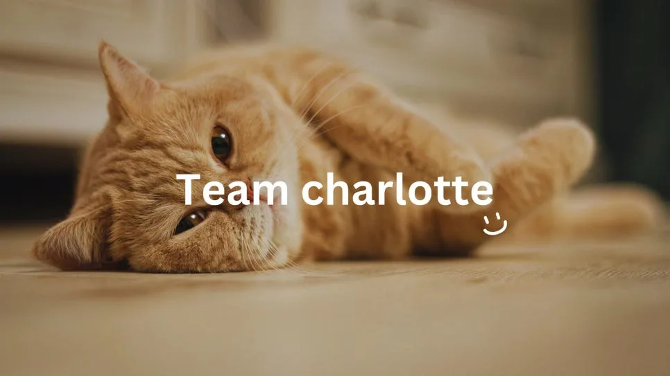 초등 수학, 왜 '수포자 엄마'는 아이를 망칠까? 2026년 핵심 진단 — 교육·학문 — charlotteim