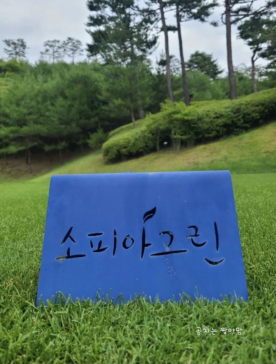 여주 소피아그린CC 2026년 겨울 라운드: 공휴일 티타임 예약 팁 완벽 분석 — 스포츠 — slamd74