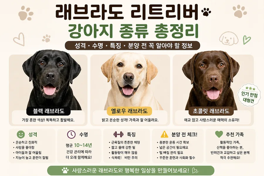 래브라도 리트리버, 키우기 전 필수 확인사항 2026