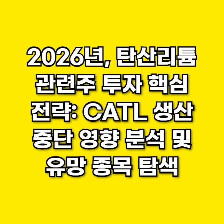 2026년 리튬 관련주, CATL 생산 중단 시 핵심 투자 전략은?
