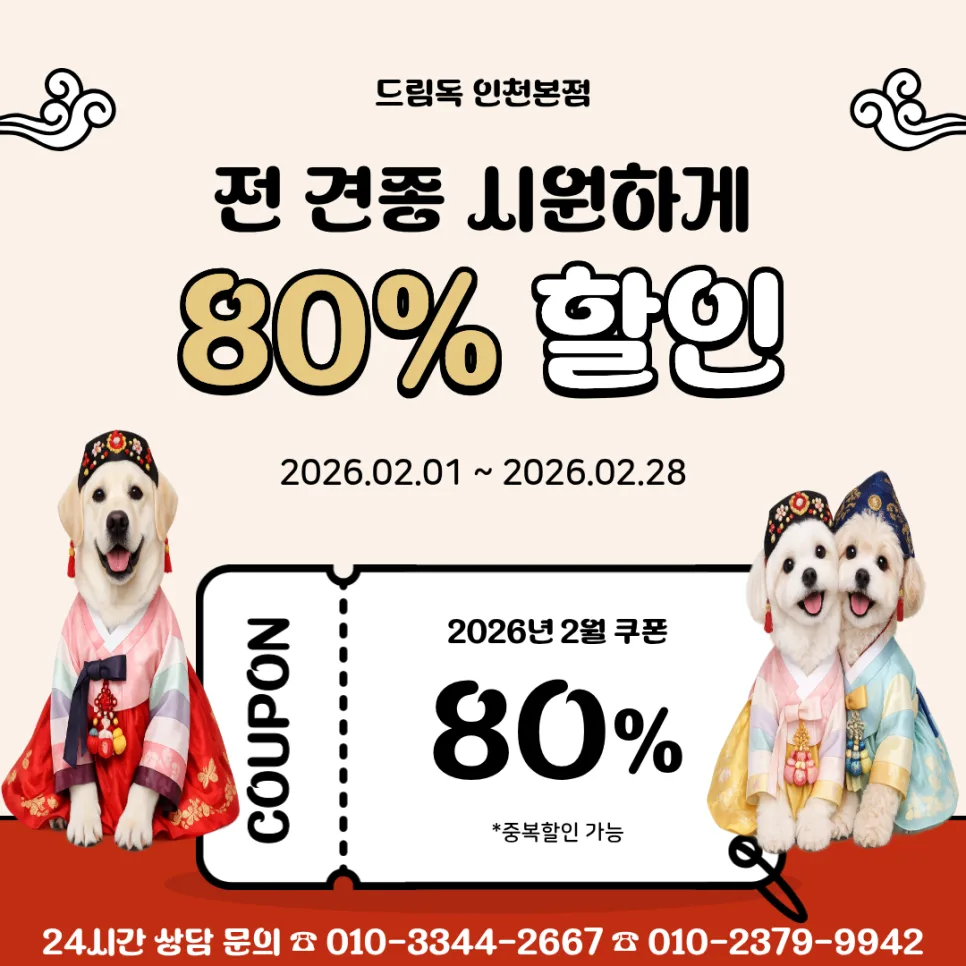 2026년 2월 강아지 분양, 인천 최대 80% 할인 혜택 총정리