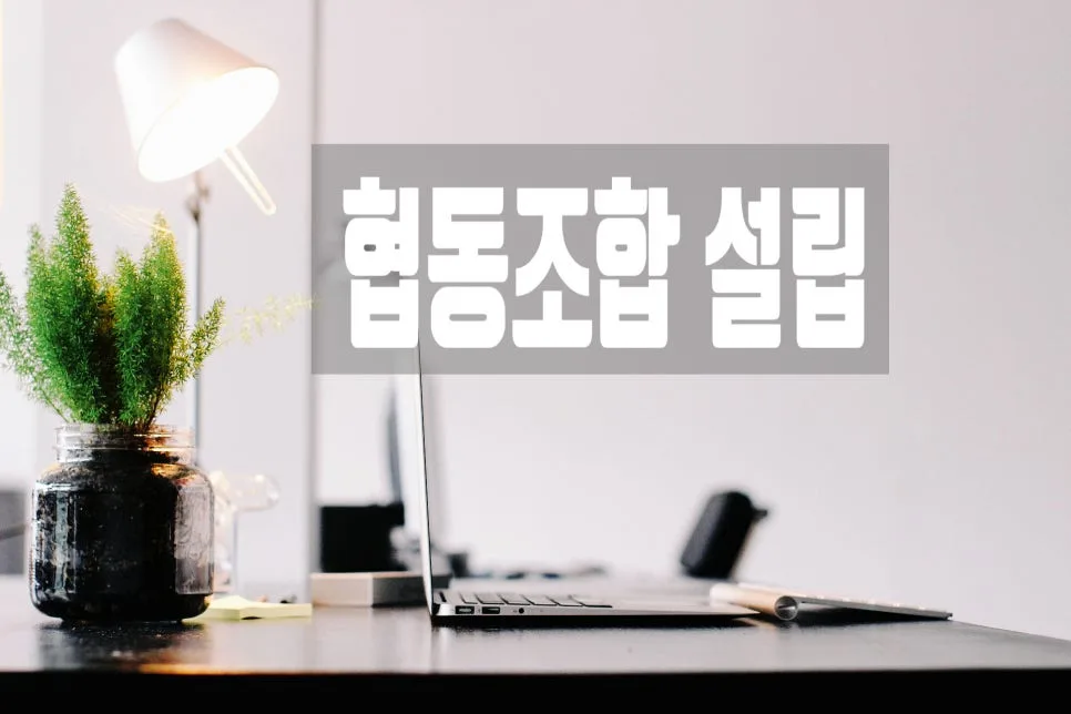 협동조합 설립 절차 완벽 가이드 2026: 장점부터 차이점까지 — 비즈니스·경제 — 0413kgs