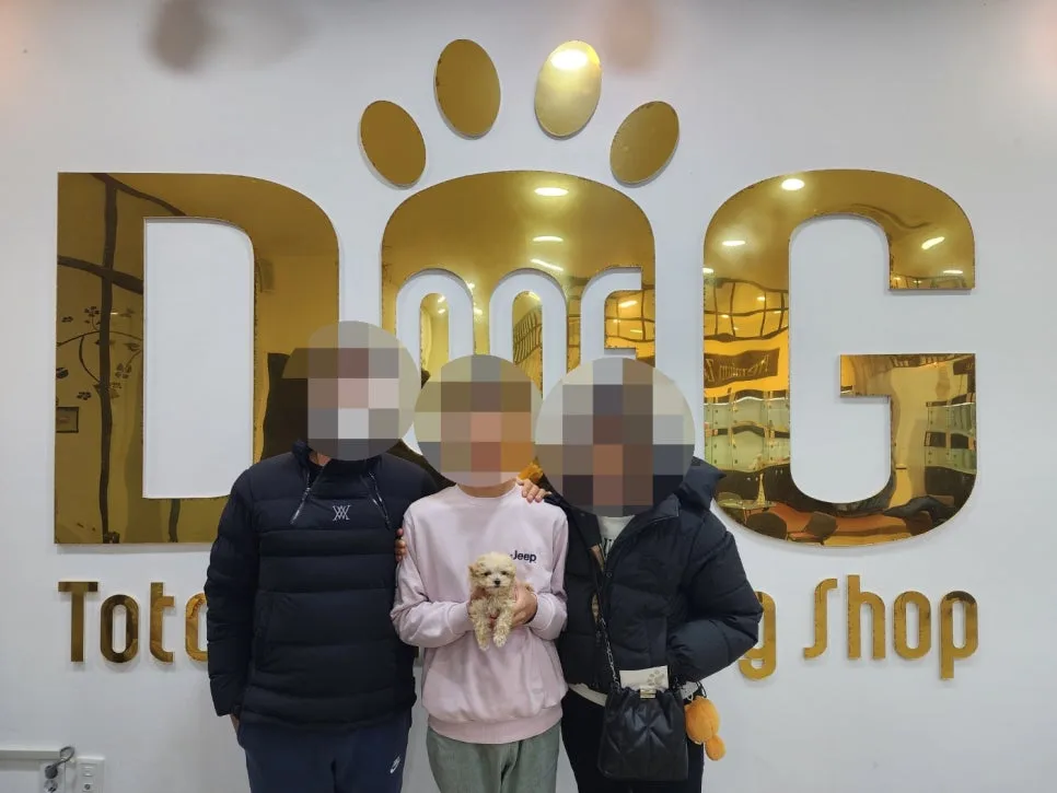 6학년 아들과 말티푸 입양 2026: 책임감과 행복 키우는 법