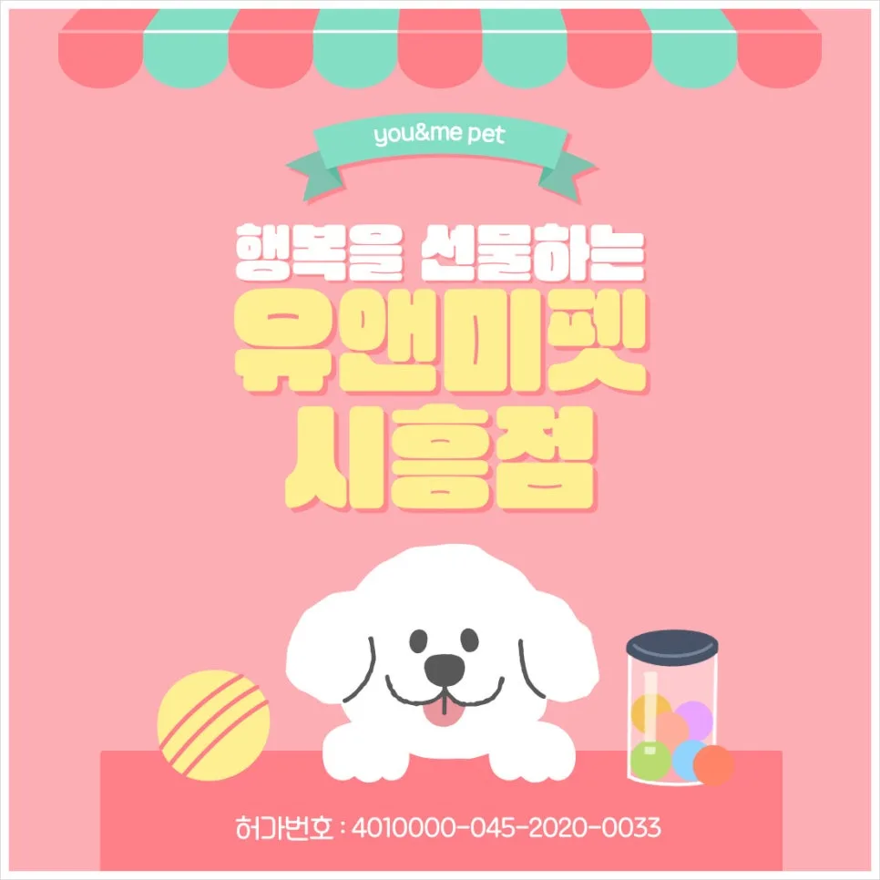 2026년 파주 아비시니안 분양, 유앤미펫 경험자 후기 총정리