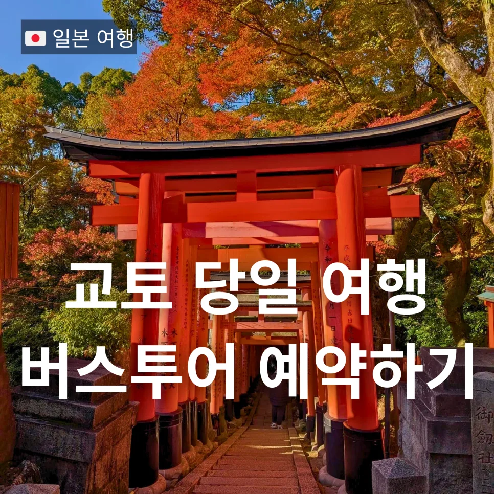 교토 버스투어 2026: 오사카 출발 당일치기 추천 코스 및 슈짱 가이드 후기 — 한국여행 — bon_etoile