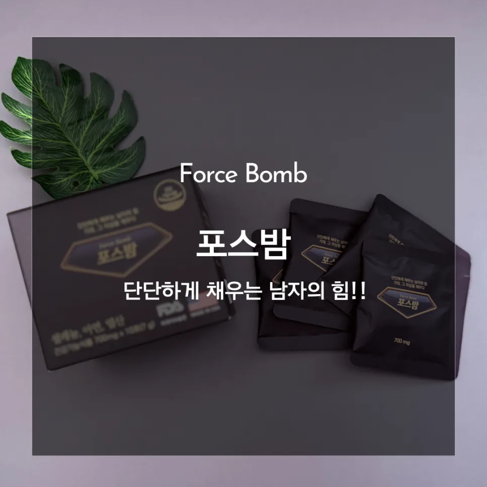 남성 활력 영양제 포스밤, 피로 회복 효과 2026년 분석 — 건강·의학 — catharsis486