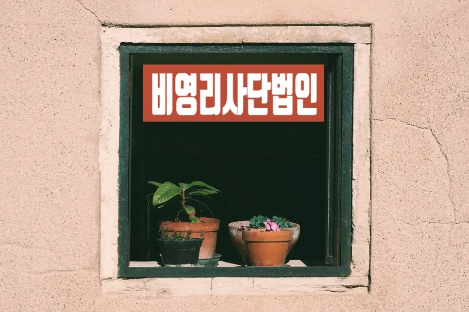 비영리사단법인 설립 허가 신청, 주무관청 검토사항 2026년 완벽 정리 — 사회·시사 — 0413kgs