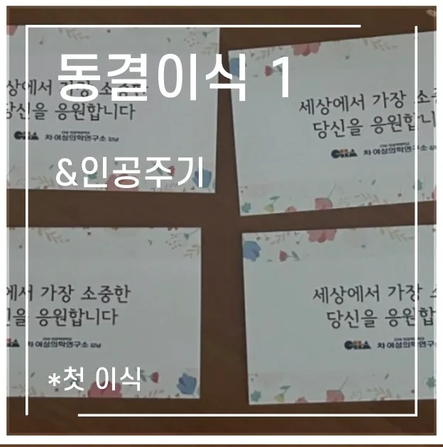 동결 1차 이식 후기: 인공주기, 비용, 통증까지 2026년 총정리 — 건강·의학 — 1991kate 1
