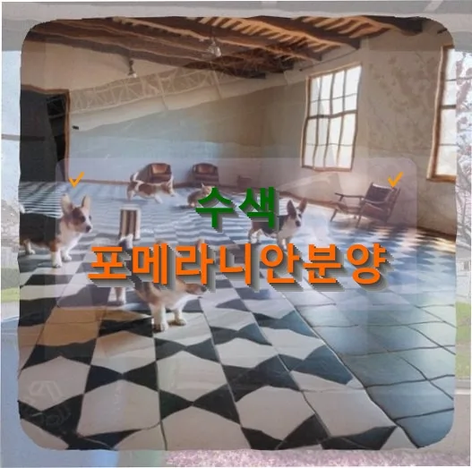 서울 수색 포메라니안 분양 준비 2026: 실제 경험 기반 가이드