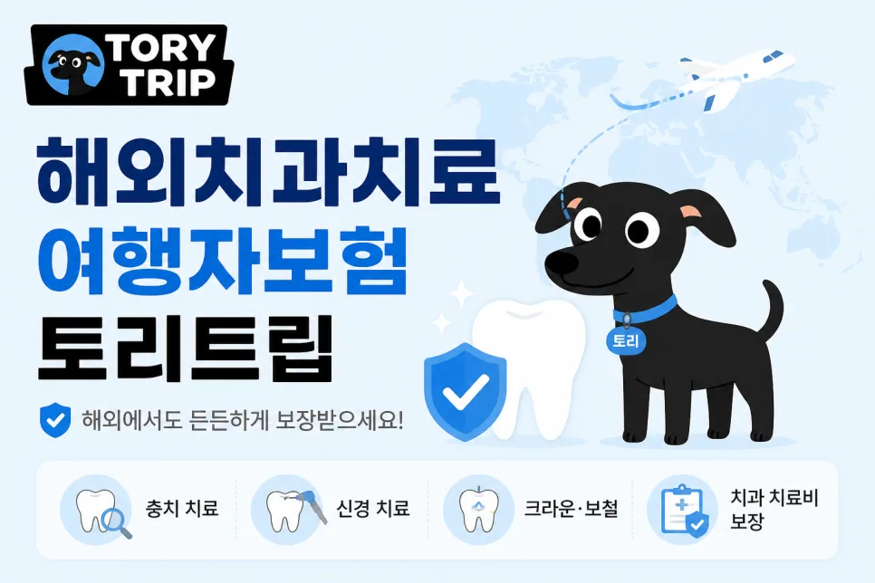 해외 치과 치료, 여행자 보험으로 보상받는 법 2026