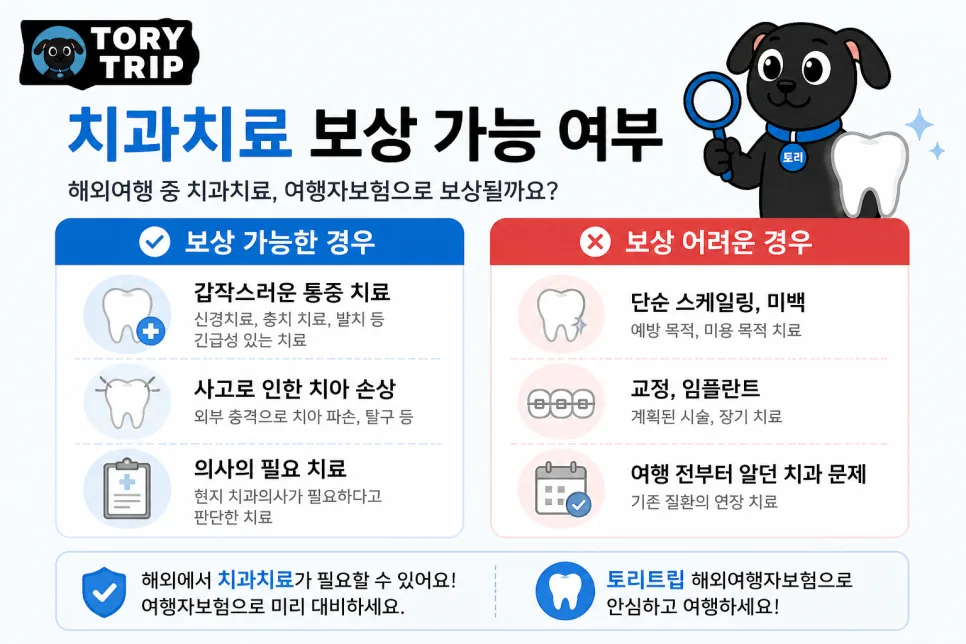 해외 치과 치료, 여행자 보험으로 보상받는 법 2026 2