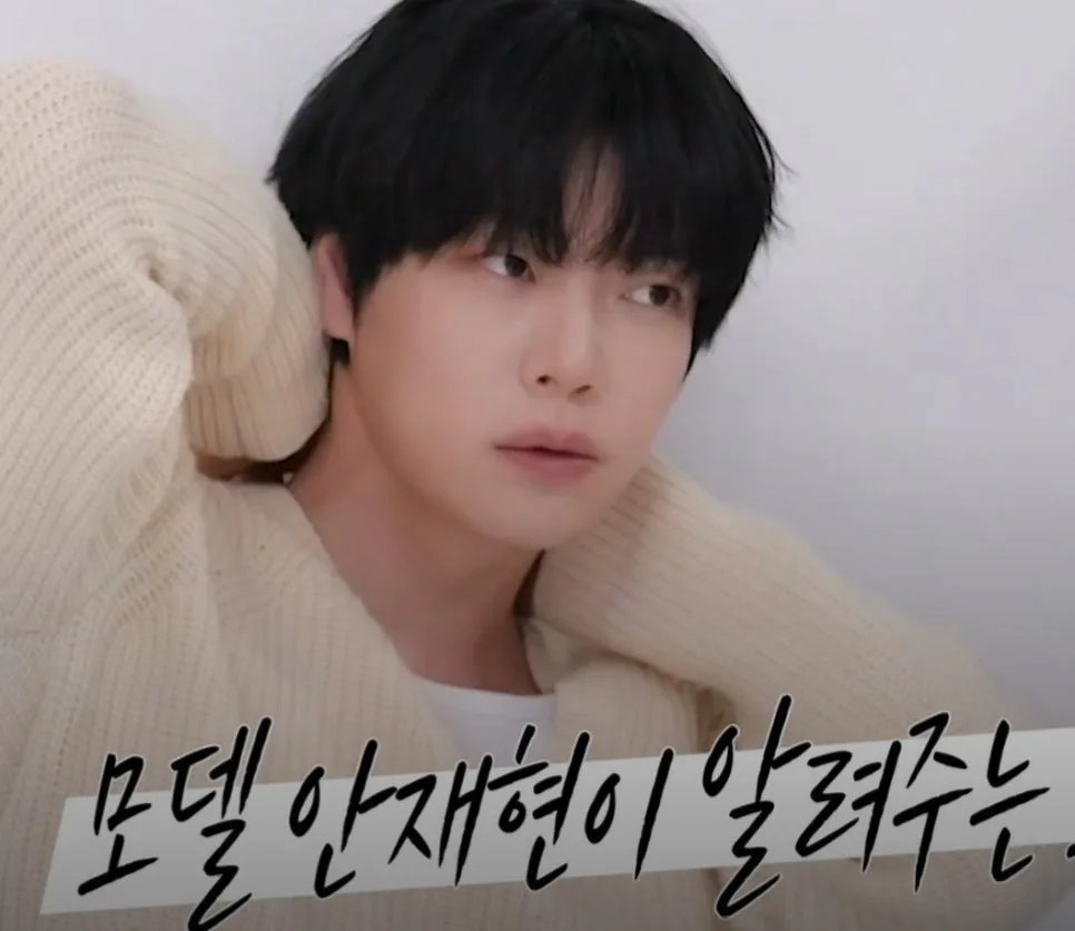 안재현 반려묘 안주 건강검진 2026: 13살 노묘 케어 비법 2