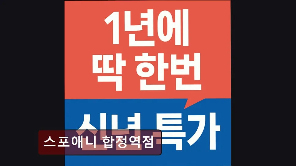 합정역 헬스장 스포애니, 2026년 가격 및 시설 완벽 분석 3
