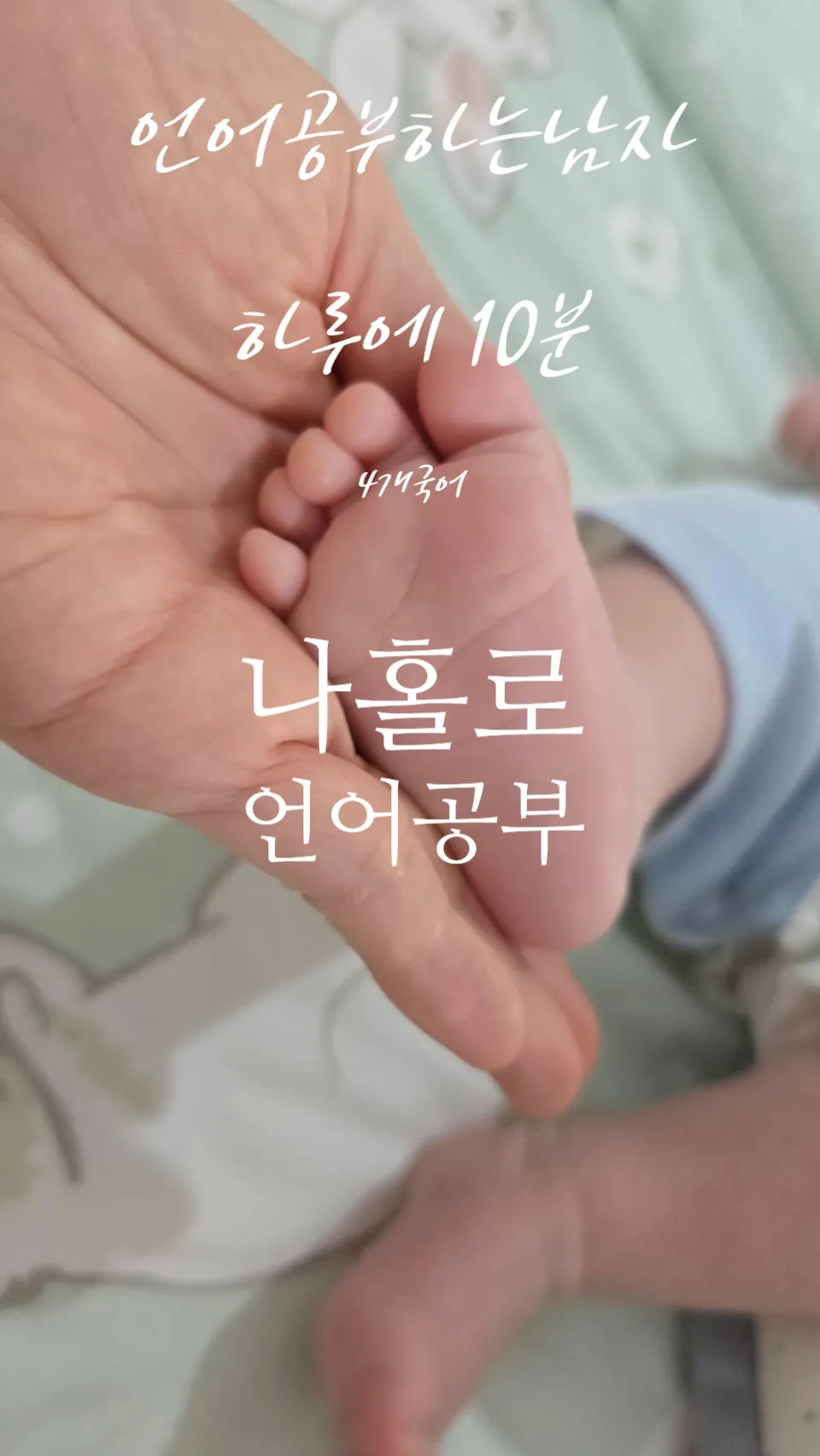 일본어 독학 15일차: 단어 암기 7번 반복법 2026 — 어학·외국어 — ksw8832