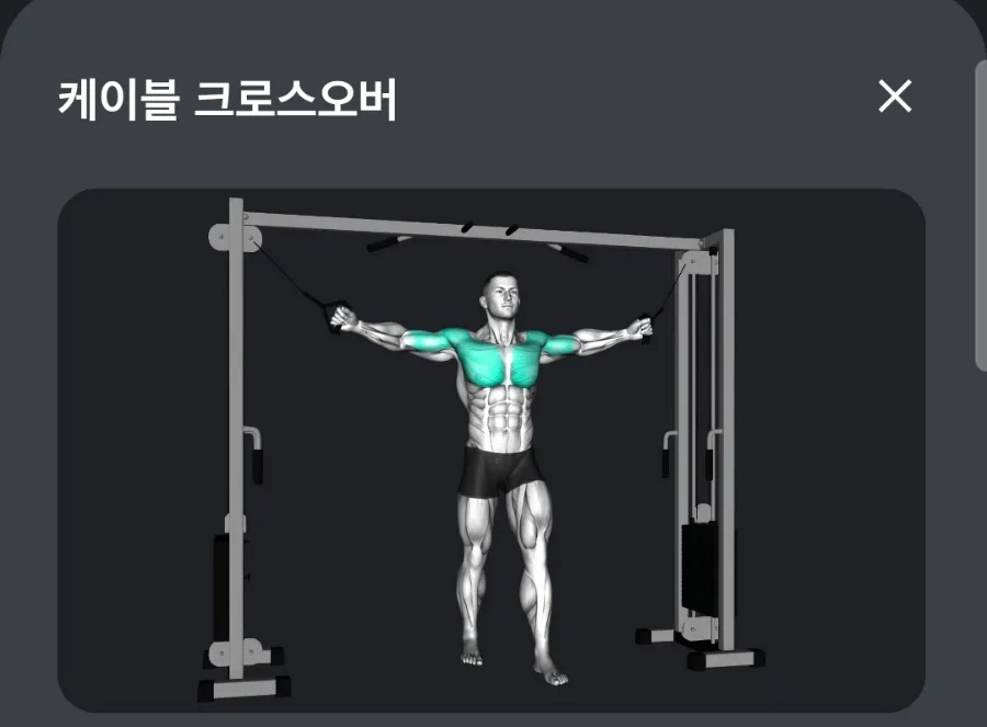 바디프로필 준비 D-116, 운동 루틴과 식단 관리 2026년 총정리 3