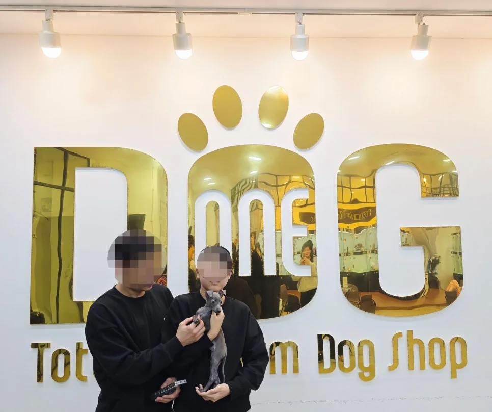 이탈리안 그레이하운드 베리, 합사 성공 스토리 2026 2