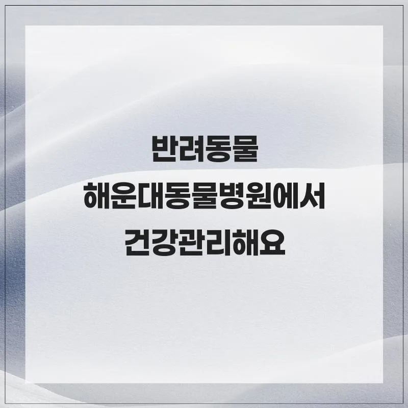 반려동물 피부·귀 질환 2026: 해운대동물병원 경험자가 진단법 총정리 2