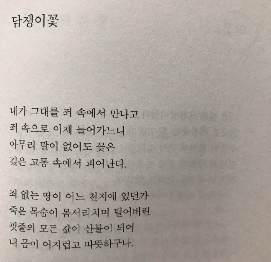 마종기 시 '담쟁이 꽃' 깊은 고통과 삶의 내력 2026 2