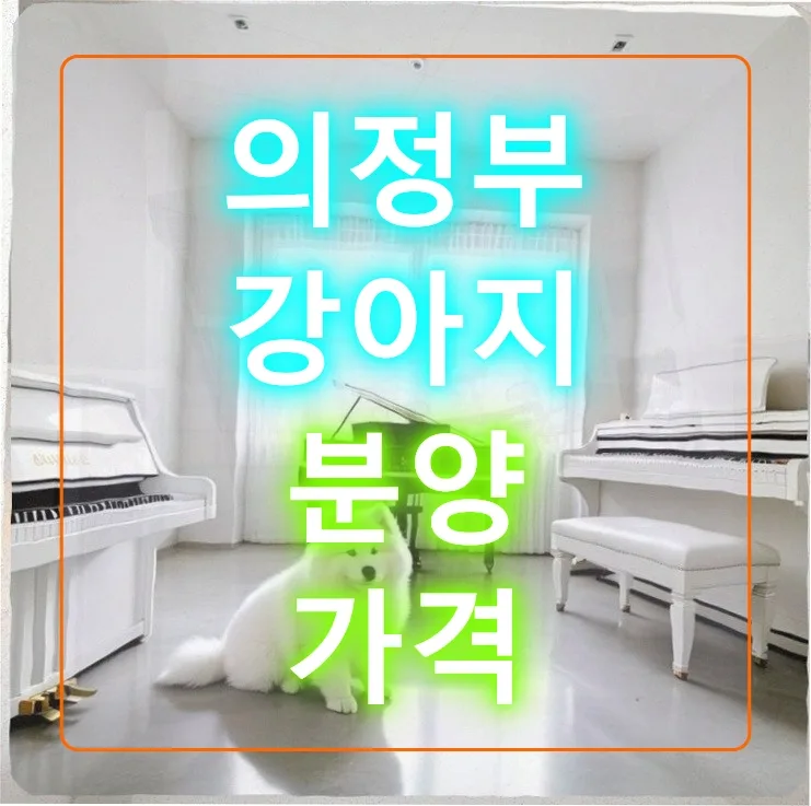 의정부 강아지 분양 2026: 120만원 말티푸 입양 후 한 달간의 깨달음