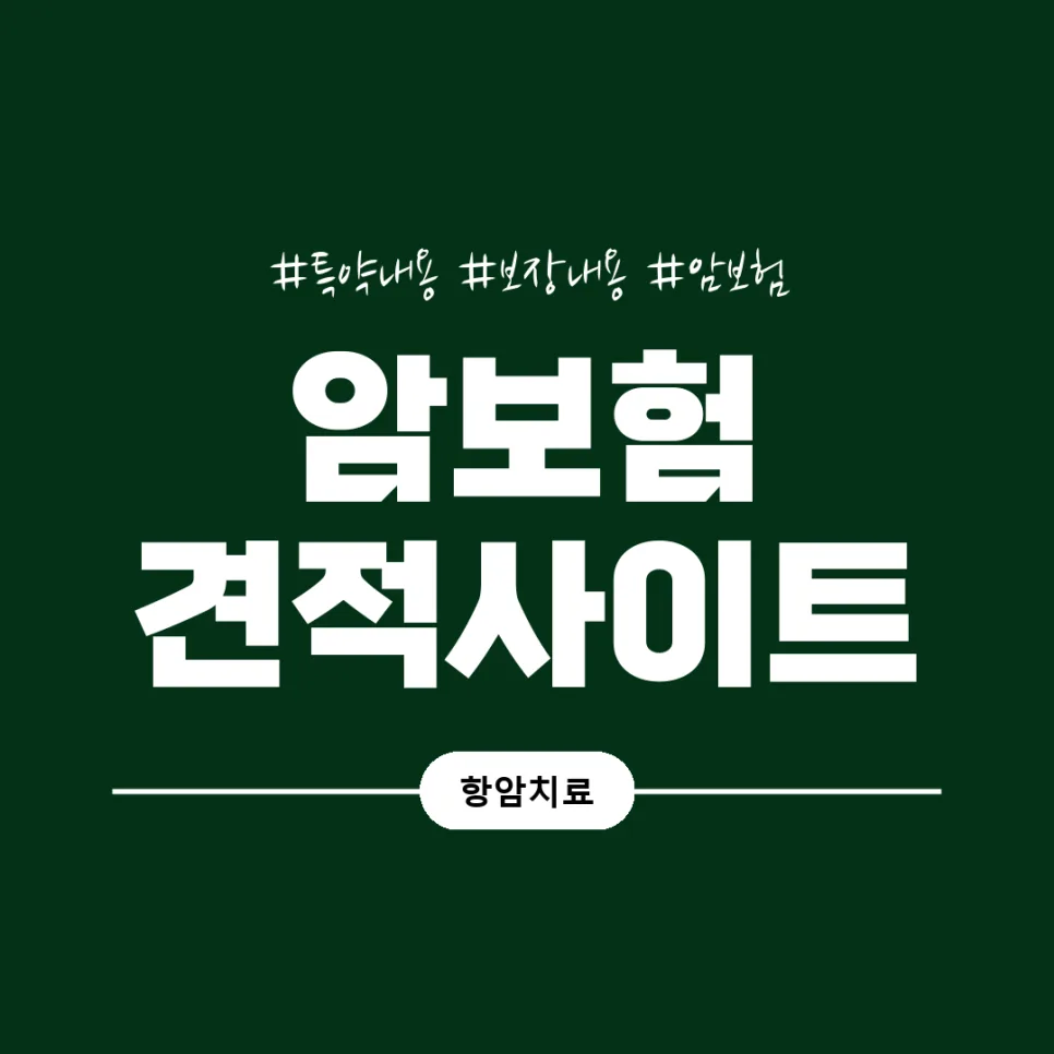 20대 암보험, 비갱신형 vs 갱신형 비교 및 필수 보장 2026년 총정리 2