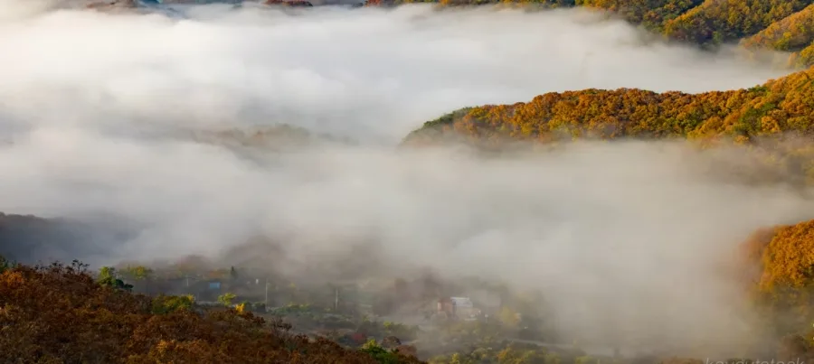 노자 도덕경 해석과 변증법적 사고의 관계 2026년 심층 분석 — 문학·책 — rlarkdbf12