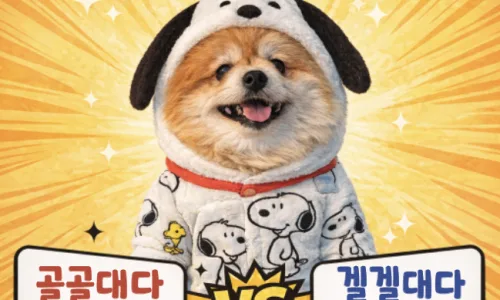 누에와 고치, 꼬치 올바른 맞춤법 2026년 총정리 2