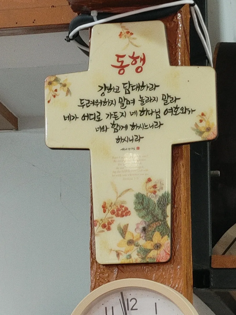 제주 아리랑 혼 공연 관람 후기 2026: 낙타 트레킹 & 마상 공연 정보 2