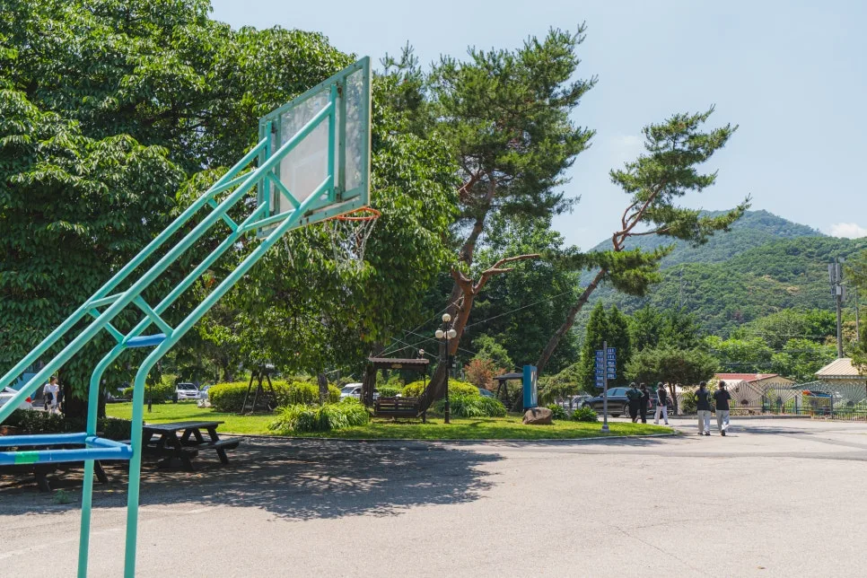 이과생 수능 로드맵 2026: 예비고3 1년 공부 계획 총정리 2