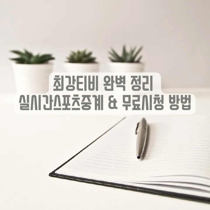 실시간 스포츠 중계 2026: 최강티비 무료 시청 완벽 가이드 — 스포츠 — bluezzangi