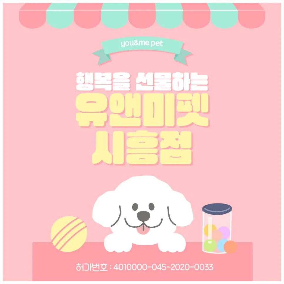 용인 푸들 분양 2026: 유앤미펫 입양 후기 및 주의사항