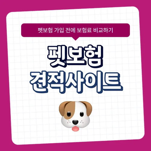 2026년 강아지 보험 청구 완벽 비교: 실제 경험 기반 가이드 2